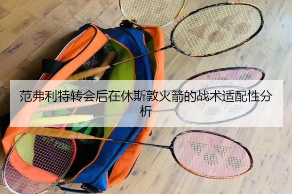 范弗利特转会后在休斯敦火箭的战术适配性分析